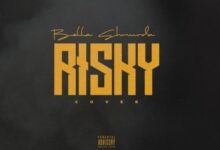 Bella Shmurda Risky (Cover)