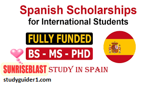 University of Alcala Doctoral scholarships and grants