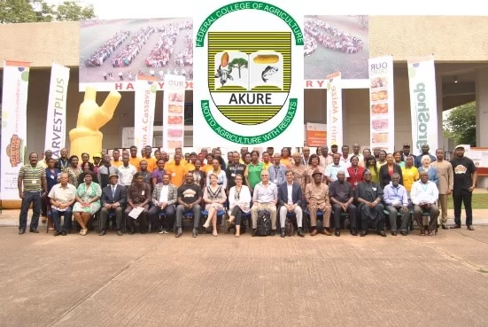 Federal College Of Agriculture Akure