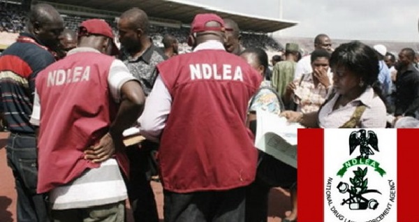 How to Fill and Apply 2023 NDLEA Application