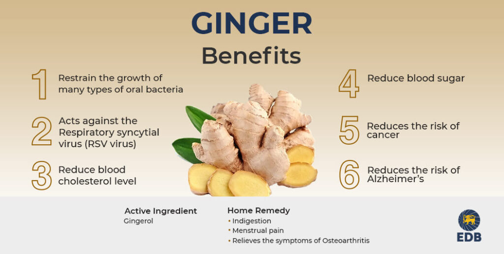 About Ginger Plant and its benefits