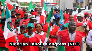 NLC's Stand: Minister's Exclusion Demanded in Fuel Subsidy Review